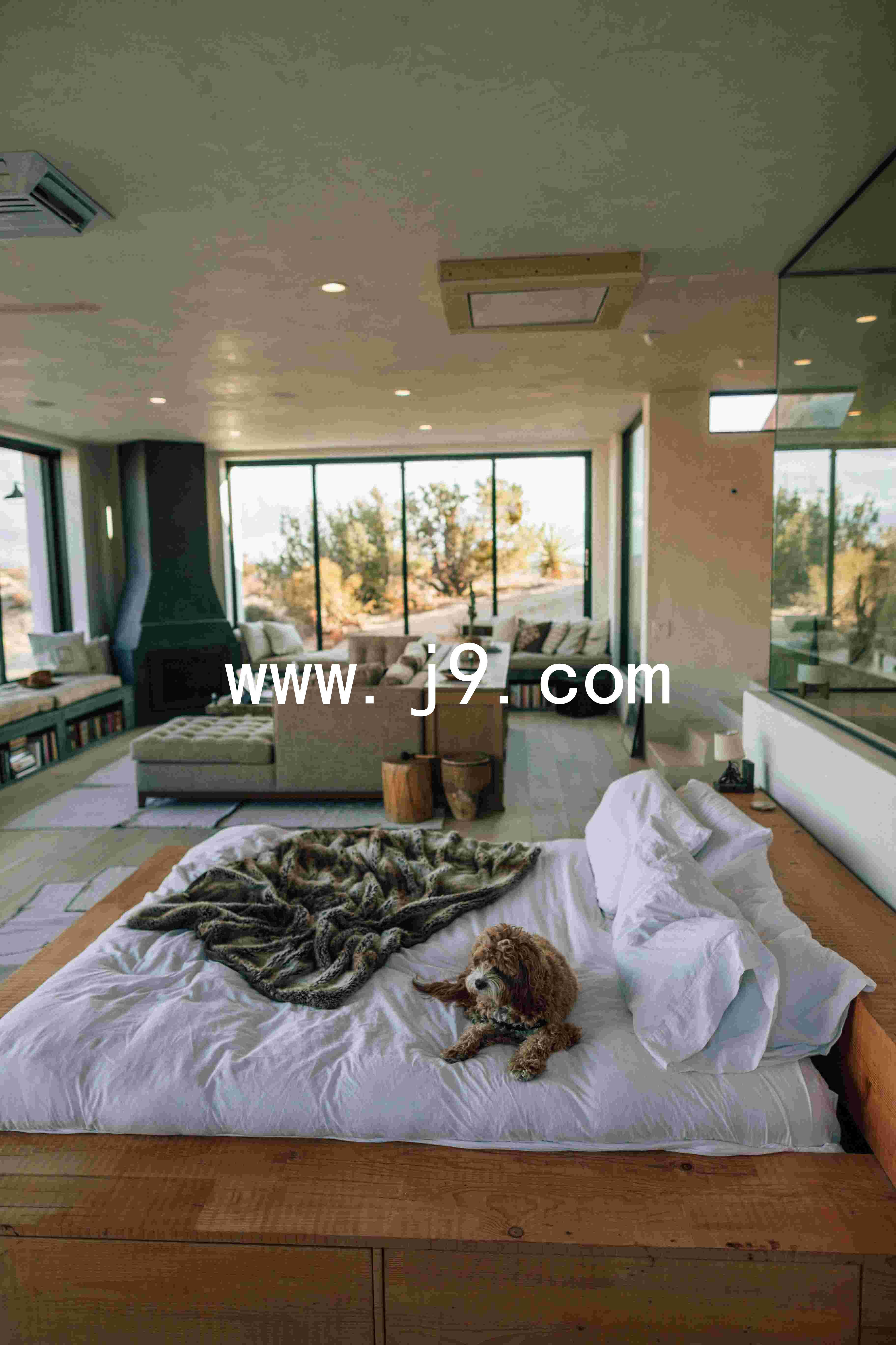 www.j9.com