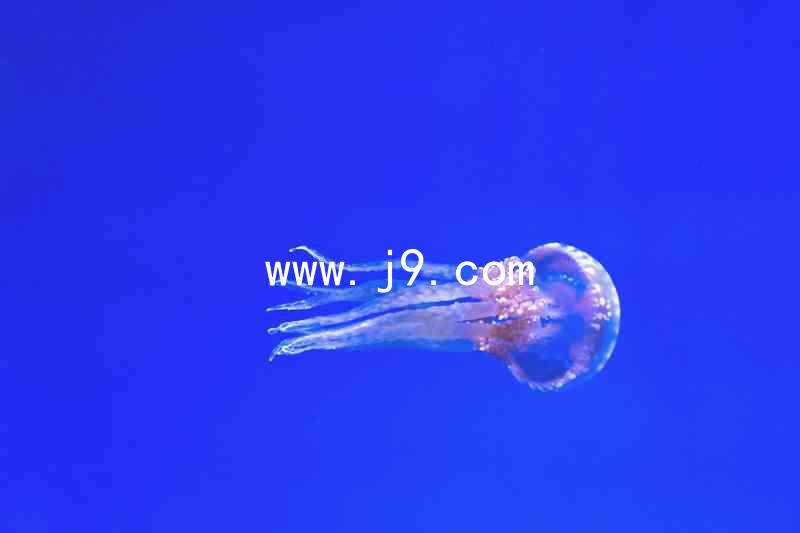www.j9.com