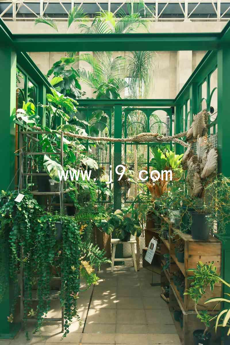 www.j9.com