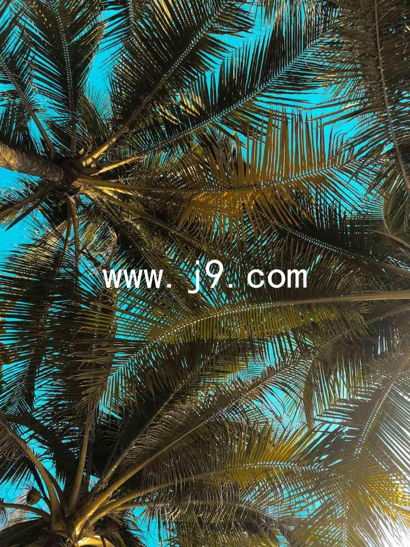 www.j9.com